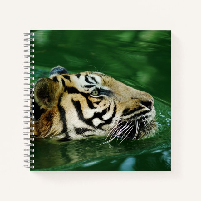 Malayan Tiger Swimming Headshot Notebook (Front)