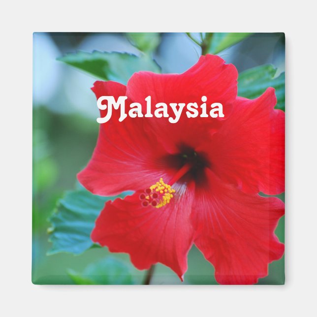 Malaysia Magnet (Front)