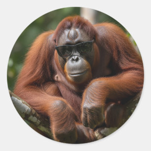 Malaysia Orangutan with sunglasses Classic Round Sticker