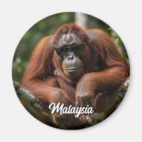 Malaysia Orangutan with sunglasses