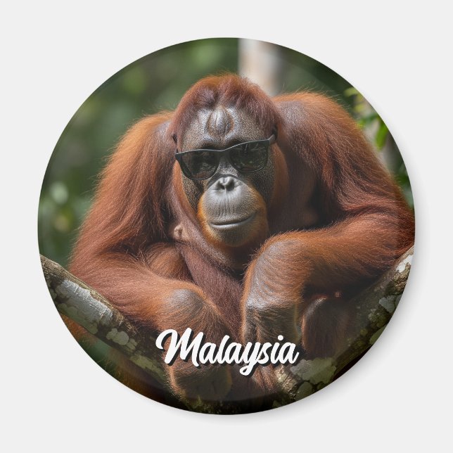 Malaysia Orangutan with sunglasses Magnet (Front)