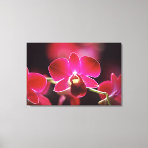 Malaysia, Orchid Canvas Print