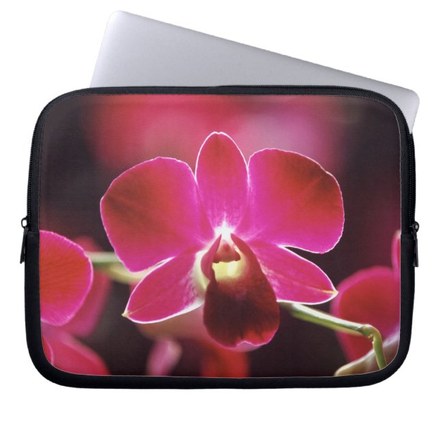 Malaysia, Orchid Laptop Sleeve (Front)