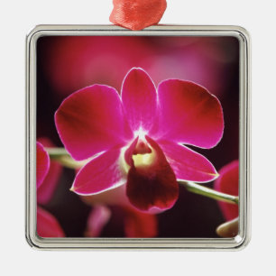 Malaysia, Orchid Metal Tree Decoration