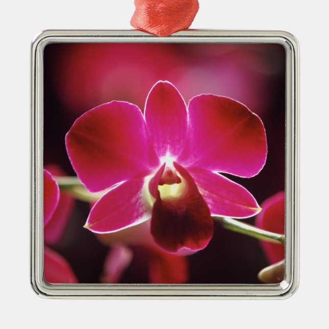 Malaysia, Orchid Metal Tree Decoration (Front)
