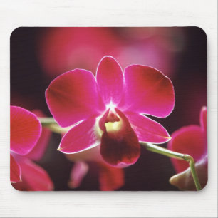 Malaysia, Orchid Mouse Mat