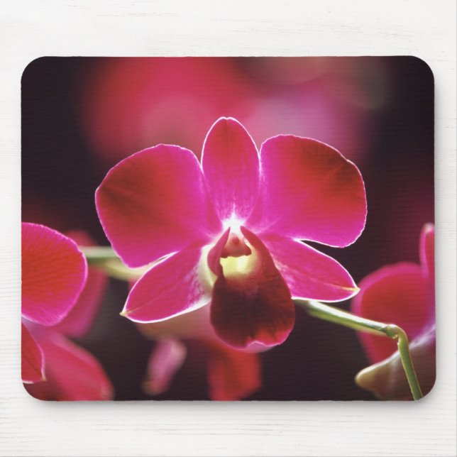Malaysia, Orchid Mouse Mat (Front)