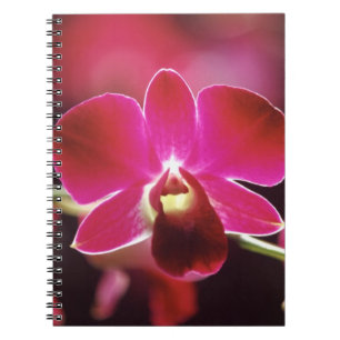 Malaysia, Orchid Notebook
