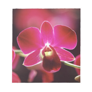 Malaysia, Orchid Notepad