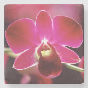 Malaysia, Orchid Stone Coaster