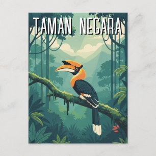 Malaysia Taman Negara Hornbill Postcard