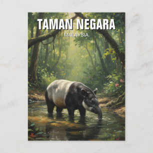 Malaysia Taman Negara Malayan Tapir Postcard