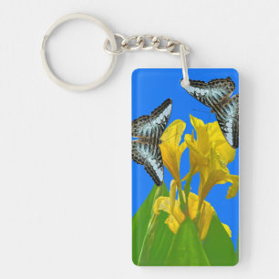 Malaysian blue clipper butterflies Keychain