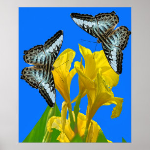 Malaysian blue clipper butterflies on Canna King Poster