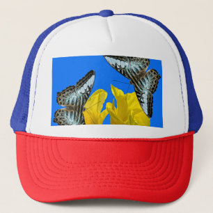 Malaysian blue clipper butterflies on Canna King Trucker Hat