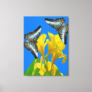 Malaysian blue clipper Stretched Canvas Print