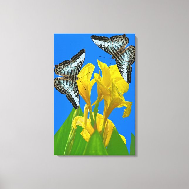 Malaysian blue clipper Stretched Canvas Print (Front)