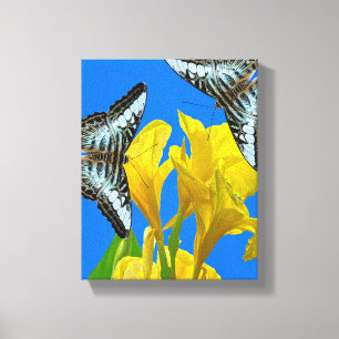 Malaysian blue clipper Stretched Canvas Print