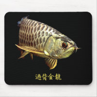 Malaysian Golden Arowana