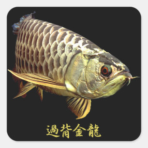 Malaysian Golden Arowana Square Sticker