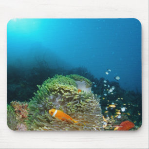 Maldives Anemone fish swimming underwater Mouse Mat