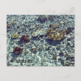 Maldives beach postcard