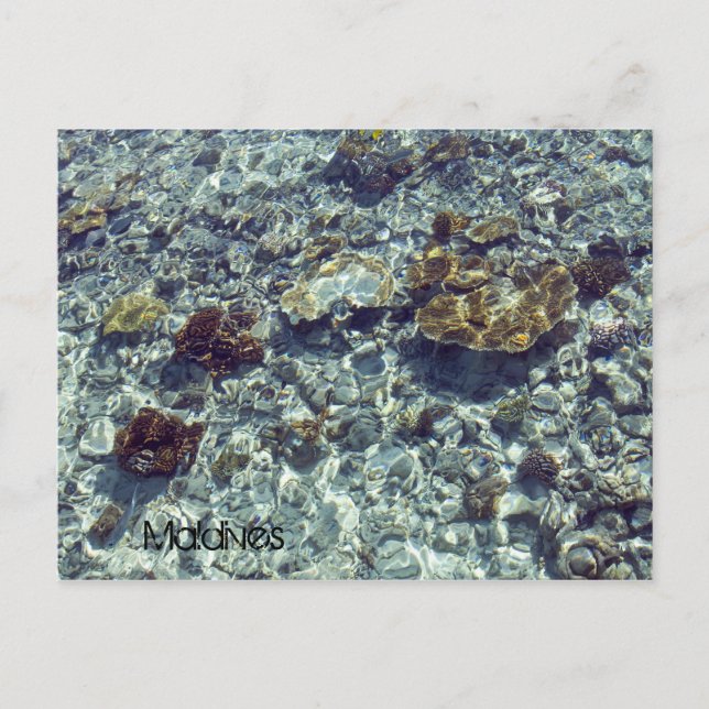 Maldives beach postcard (Front)