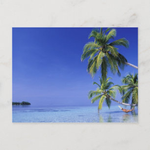 Maldives, Felidhu Atoll. Man relaxing in hammock Postcard