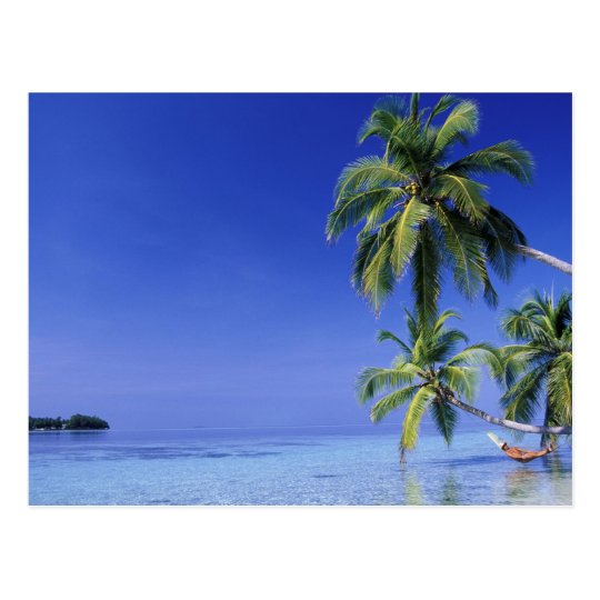 Maldives, Felidhu Atoll. Man relaxing in hammock Postcard