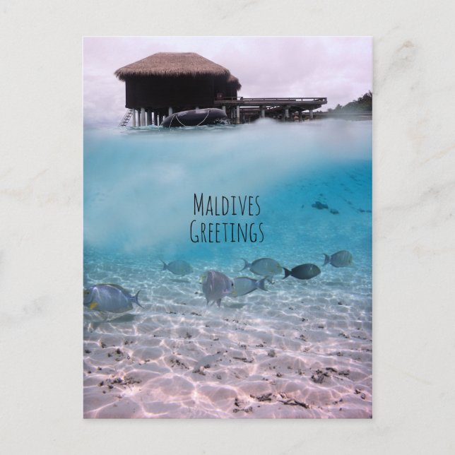 Maldives Greetings Snorkelling Fun Souvenir Postcard (Front)