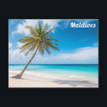 Maldives Island Ocean Beach Palm Tree Travel Postcard<br><div class="desc">Anyone would love to receive this travel postcard featuring a photo of the ocean and a palm tree on a tropical beach of the Maldives islands!</div>