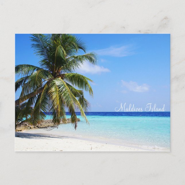 Maldives island romantic holiday by storeman. postcard (Front)