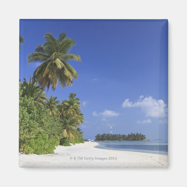 Maldives, Meemu Atoll, Medhufushi Island Magnet (Front)