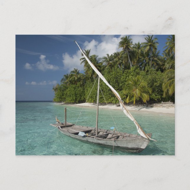 Maldives, North Male Atoll, Island of Kuda Postcard (Front)