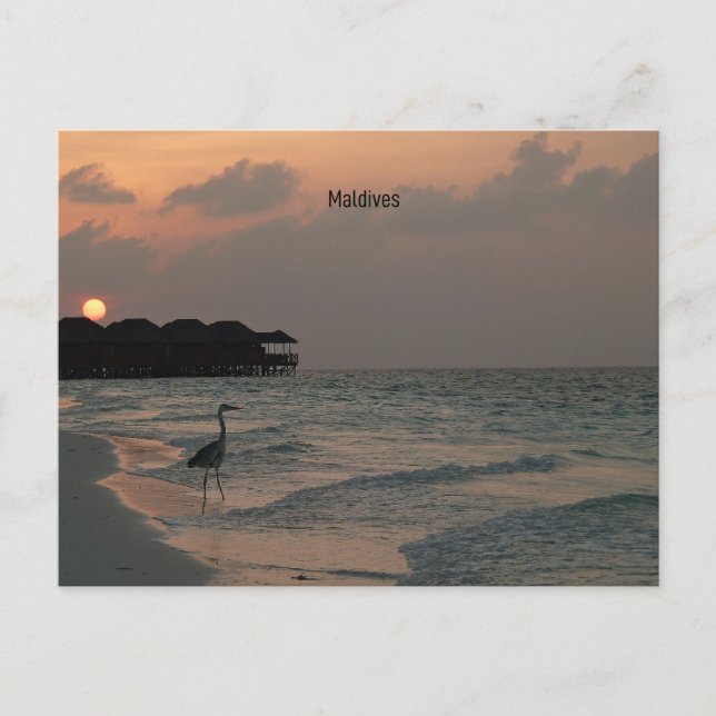 Maldives scenic landscape postcard (Front)