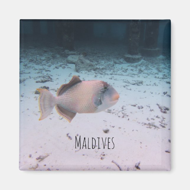 Maldives Underwater Coral Fish Souvenir Magnet (Front)