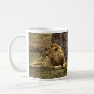 Male African Lion Lounging Under a Tree Mug