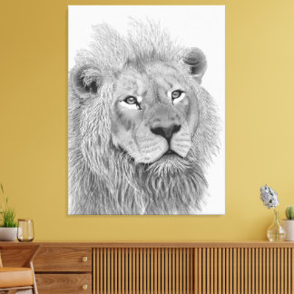 Male African Lion Pencil Drawing Canvas Print