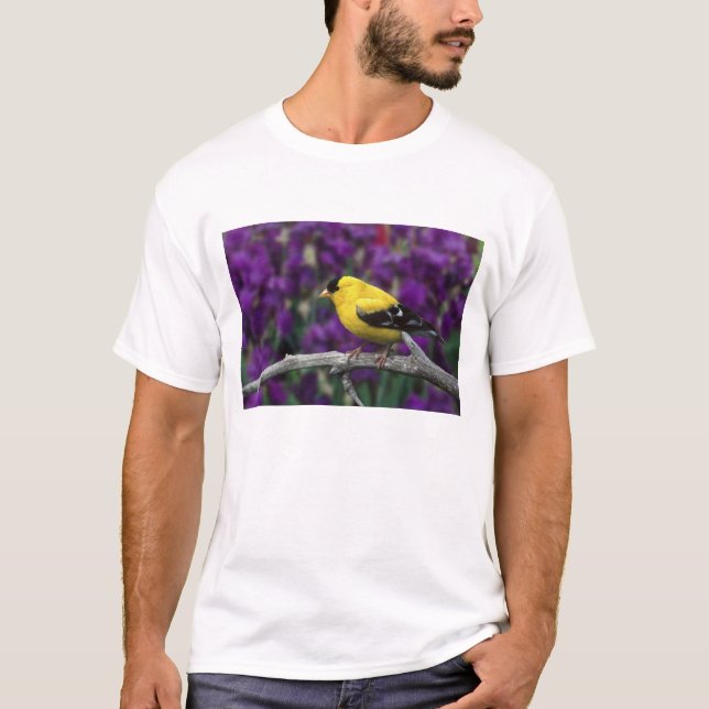 Male, American Goldfinch in summer plumage, T-Shirt (Front)