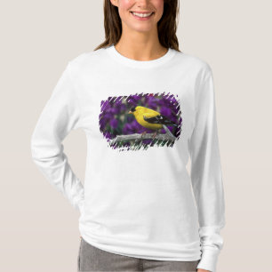 Male, American Goldfinch in summer plumage, T-Shirt