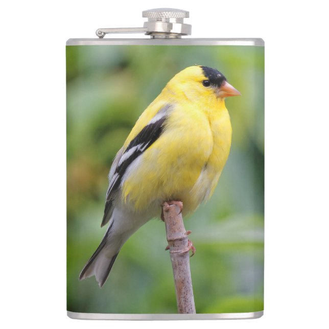 Male American Goldfinch on the Bamboo Hip Flask (Front)