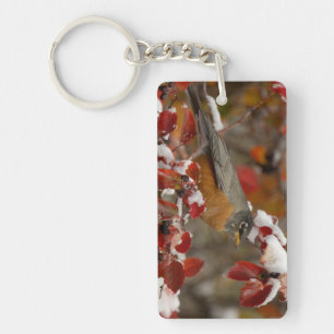 Male American Robin in Black Hawthorn Key Ring