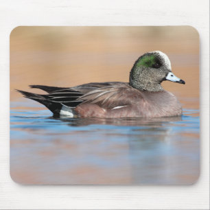 Male American Wigeon Mouse Mat