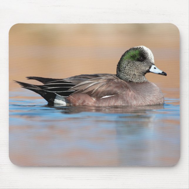 Male American Wigeon Mouse Mat (Front)