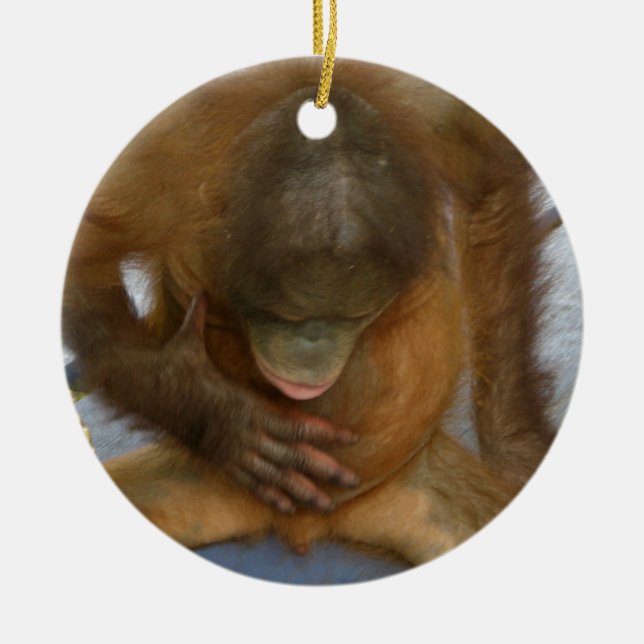 Male Anatomy Jokes Ceramic Tree Decoration (Front)