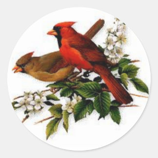 Male and Female cardinal on a  blooming branch Classic Round Sticker