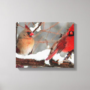 male and female cardinals canvas print