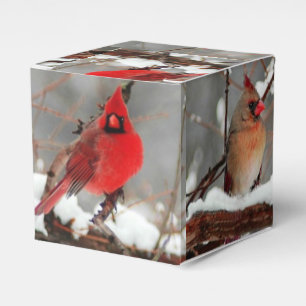 male and female cardinals favour box