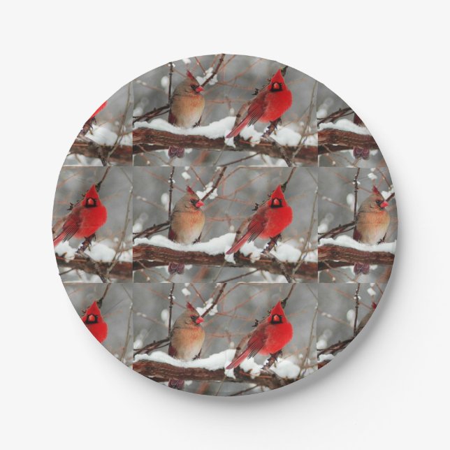 male and female cardinals paper plate (Front)
