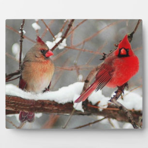 male and female cardinals plaque